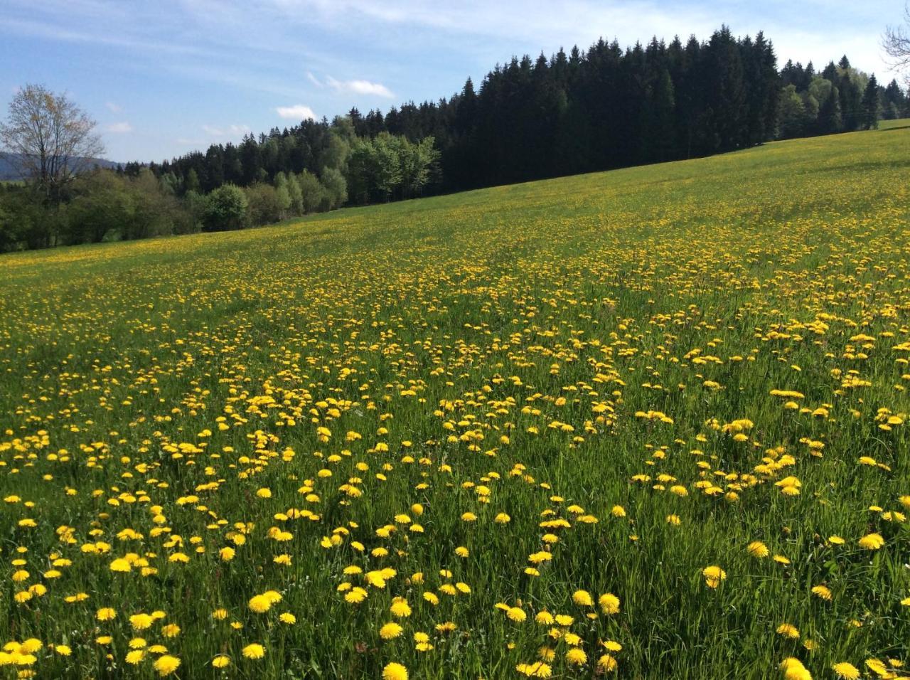 Вилла Ferienbauernhof Koller Helfenberg Экстерьер фото