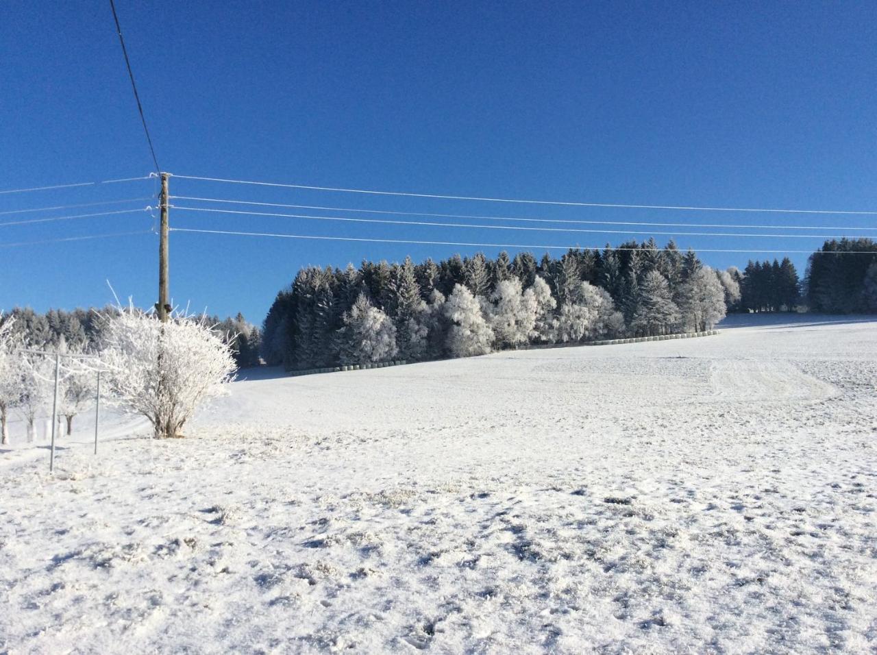 Вилла Ferienbauernhof Koller Helfenberg Экстерьер фото