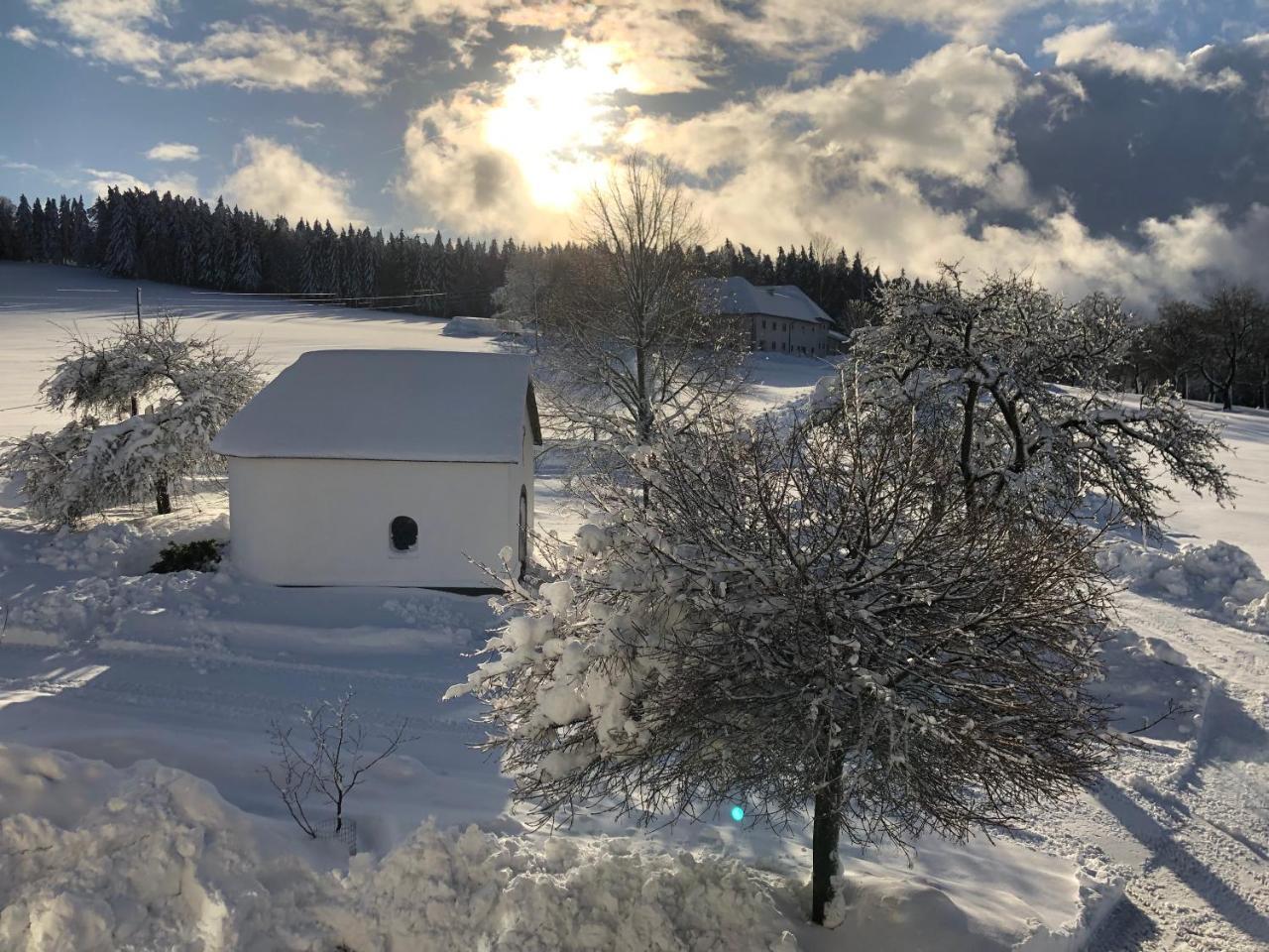 Вилла Ferienbauernhof Koller Helfenberg Экстерьер фото